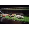 hoshizaki hnc-180ba-sl refrigerated sushi display case led