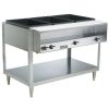 vollrath 38103 electric hot food table with empty pans
