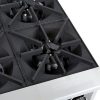 vollrath 40737 commercial gas hot plate burners